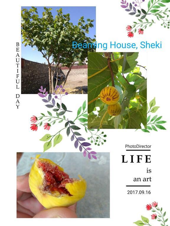 Hotel Beaming_House Şǝki Exteriér fotografie